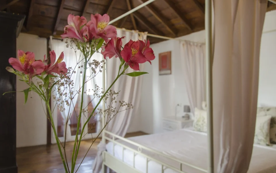 Junior Suite Casona Santo Domingo