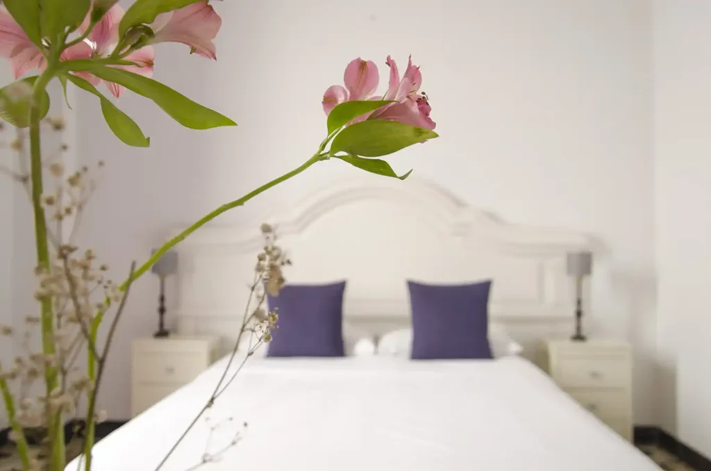 Standard Double Room Casona Santo Domingo 05