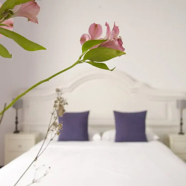 Standard Double Room Casona Santo Domingo 05